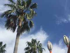 -三井奥特莱斯购物城(爵士之梦长岛店)