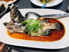 清蒸老虎斑-徐记海鲜(曲江南湖店)