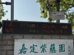-嘉定紫藤园