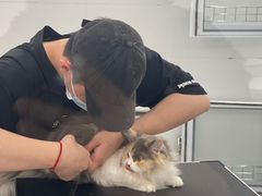 -comecome来吧宠物(奥克斯中心店)