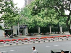 -复旦大学附属华山医院(江苏路分部)