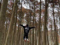 -小芝红树林