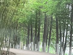 -阳澄湖费尔蒙酒店