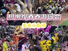 -正佳雨林生态植物园