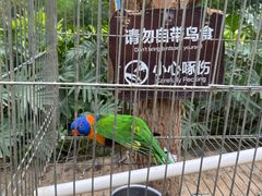 -南宫五洲植物乐园