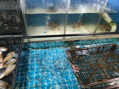 -王记新汕头肠粉炖汤