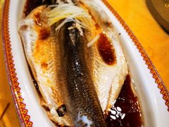 -白家大院·王府宫廷菜(苏州街店)