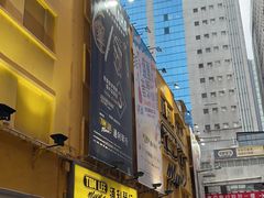-通利琴行(尖沙咀旗舰店)