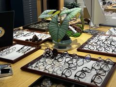-Eziwish眼镜·蔡司授权店