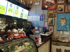 -猫咪博物馆(顶澳仔猫街店)