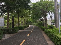 -深圳湾公园(南山区)
