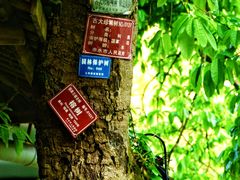 -赤水丹霞旅游区·大瀑布