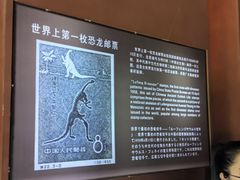 -世界恐龙谷景区