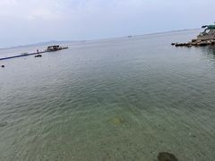-养马岛旅游度假区