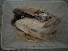 -杨记下沙盐焗鸡(罗湖店)