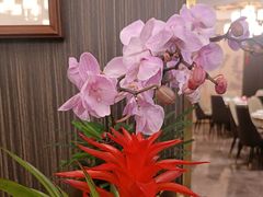 -玉林烤鸭店(垡头店)