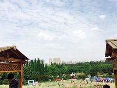 -秀丽东方