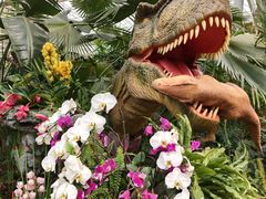 -沈阳植物园