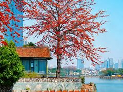 -喜洲吧·江畔老船厂·庭院餐厅(喜临院店)