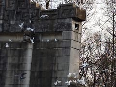 -音乐台