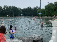 -柳浪游泳场