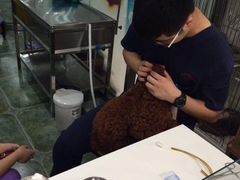 伟伟宠物医院-伟伟宠物医院·CT影像中心·瑞派犬猫综合性门诊(汉口总院)