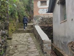 -南窖乡水峪村山情农家