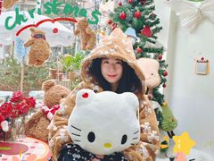 -叮叮猫儿(西村店)
