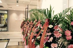 点击看大图 -北京简法造型