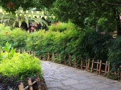 -云南民族村