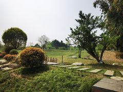 -马帮寨绿地农庄店