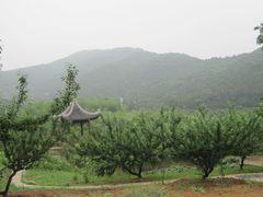 -龙寺生态园