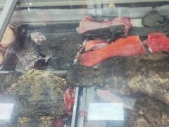 -潮信鱼头王(西环店)