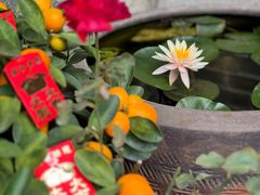 -老屋咖啡
