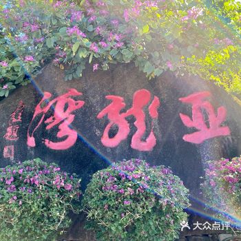 玩转三亚｜Day️亚龙湾森林公园·单人一日旅游攻略
