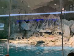 -帝企鹅自助餐厅•儿童岛•真企鹅(长隆企鹅酒店)