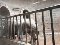 -北京动物园-畅观楼