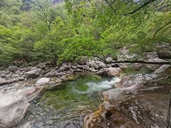 -青峰峡国家森林公园