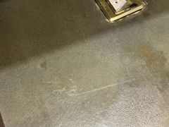 -菩提树·素食餐厅(汇智国际商业中心店)