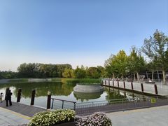 -大望京公园