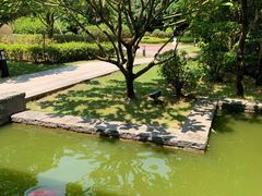 -南宁荔园维景国际酒店·荔园中餐厅