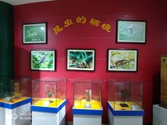 -上海昆虫博物馆