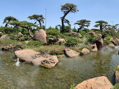 -罗红摄影艺术馆