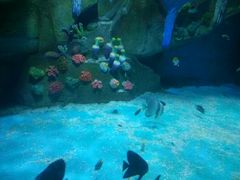 -泉城欧乐堡海洋极地世界