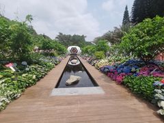 -深圳仙湖植物园