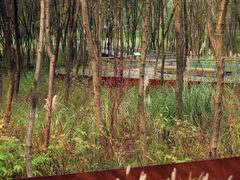 -西湖风景区-江洋畈生态公园