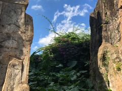 -海南热带野生动植物园