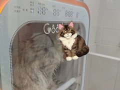 -悠尼宠物·独立低压伊珊娜洗护·美容·寄养(兰谷路店)