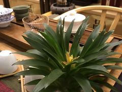 -麦子MaiMassage(打浦桥店)