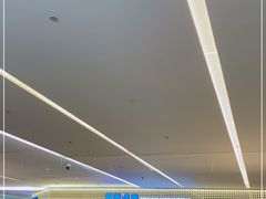 -敏华冰厅(平安金融中心店)